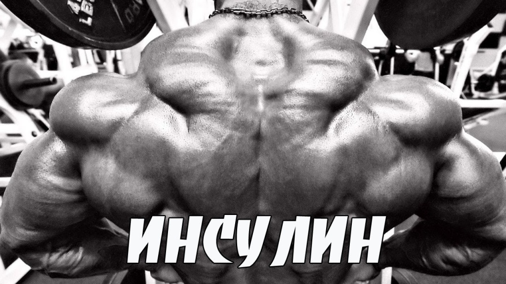 ___insulin_2.jpg ___insulin_2.jpg